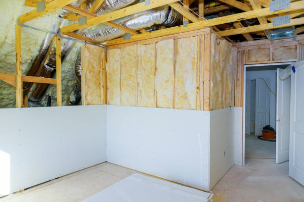 Best Insulation Maintenance and Repair in Mora, MN